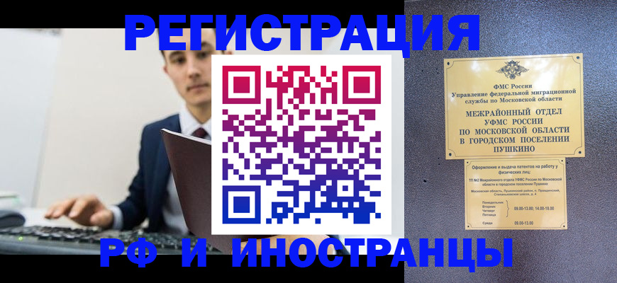 прописка поиск в Щёкино